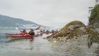 Kayakers passing a starfish perched on an exposed rock in the Johnstone Strait in British Columbia