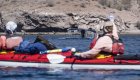 Sea kayaking among dolphins in the Sea of Cortez