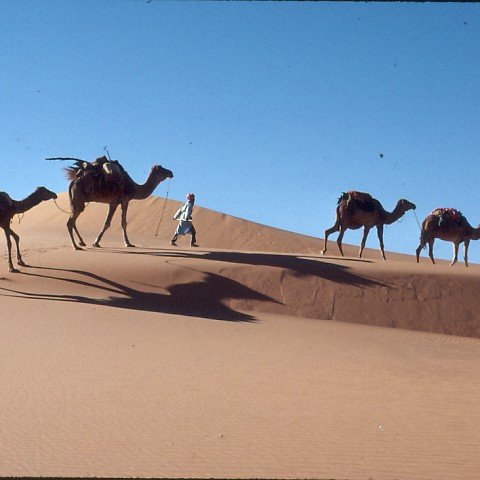 Algeria adventure travel tours with ROW Adventures