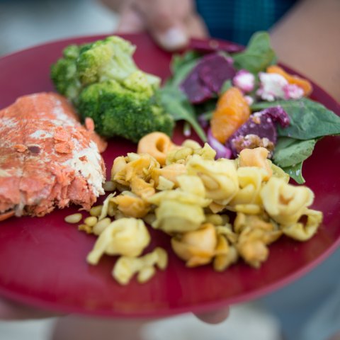 A red plate of salmon, pasta, and broccoli while camping