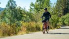 Biker on a paved trail surrounded by trees at golden hour