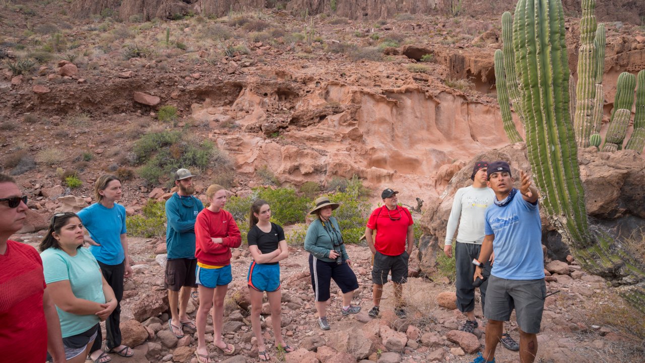 Guide explaining the anatomy of a cactus to a group of hikers in Baja, California