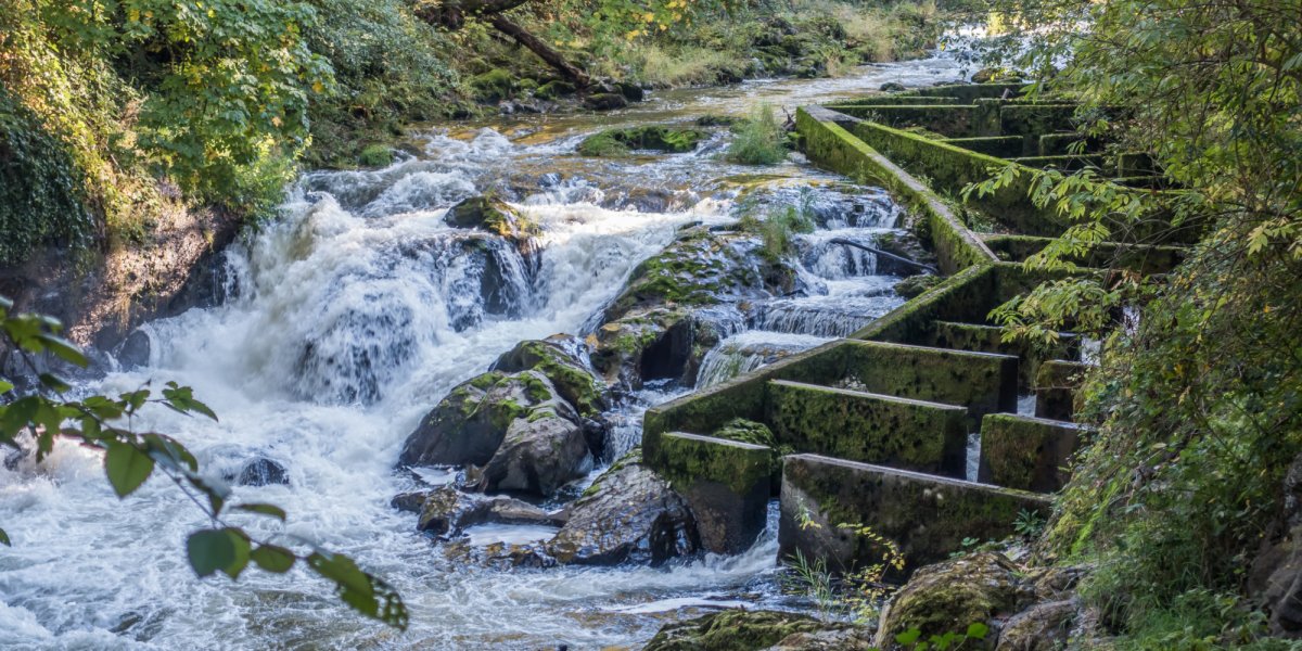 fish ladder in the Deschutes River