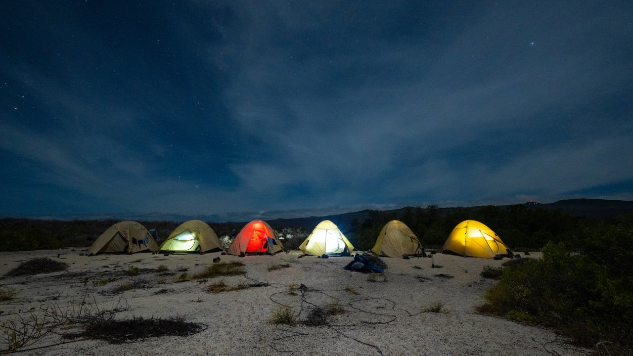 A line of six tents lit up from headlamps beneath a nights sky in the Galapagos Islands