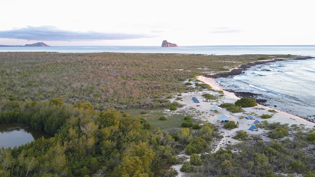 Tents set up along an exclusive Galapagos eco oceanfront campsite on a beach at sunset