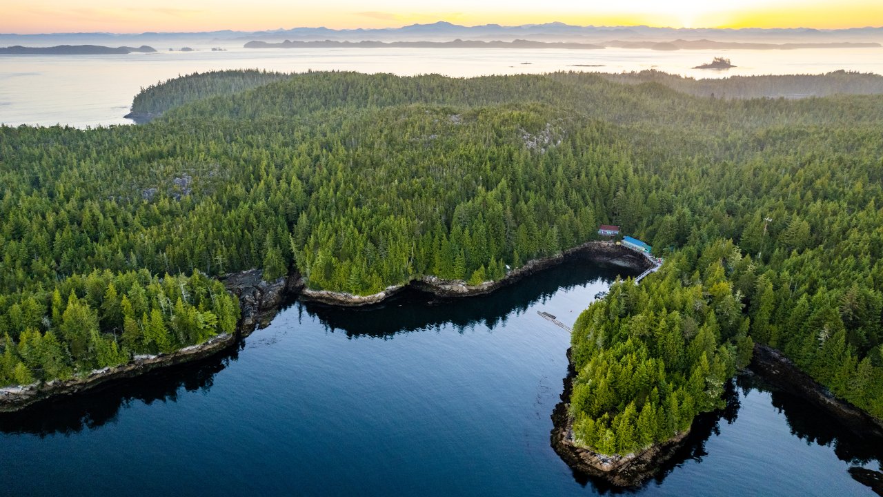 Birds eye view of Gods Pocket Resort in British Columbia, Canada