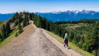 Solo hiker walking along a ridge trail in Olympic National Park