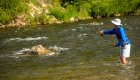 Person wading in a river while fly fishing on a sunny day