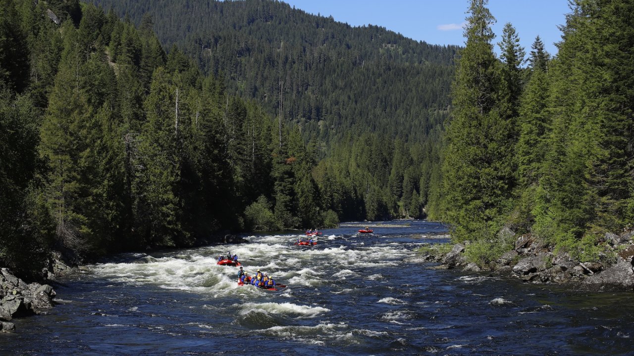 Group of rafts floating down a river bend on the Lochsa river in Idaho.