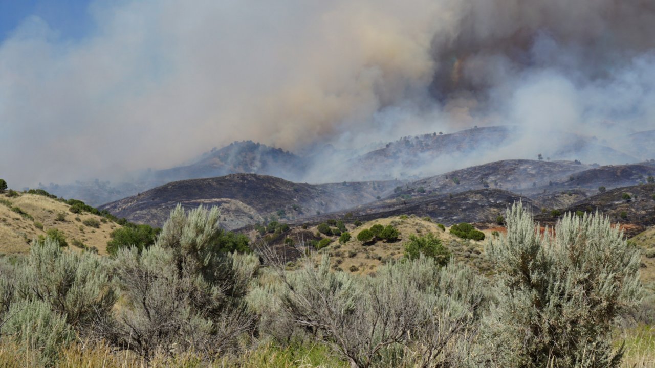 A smoke plume is visible in central Idaho. wildfire smoke