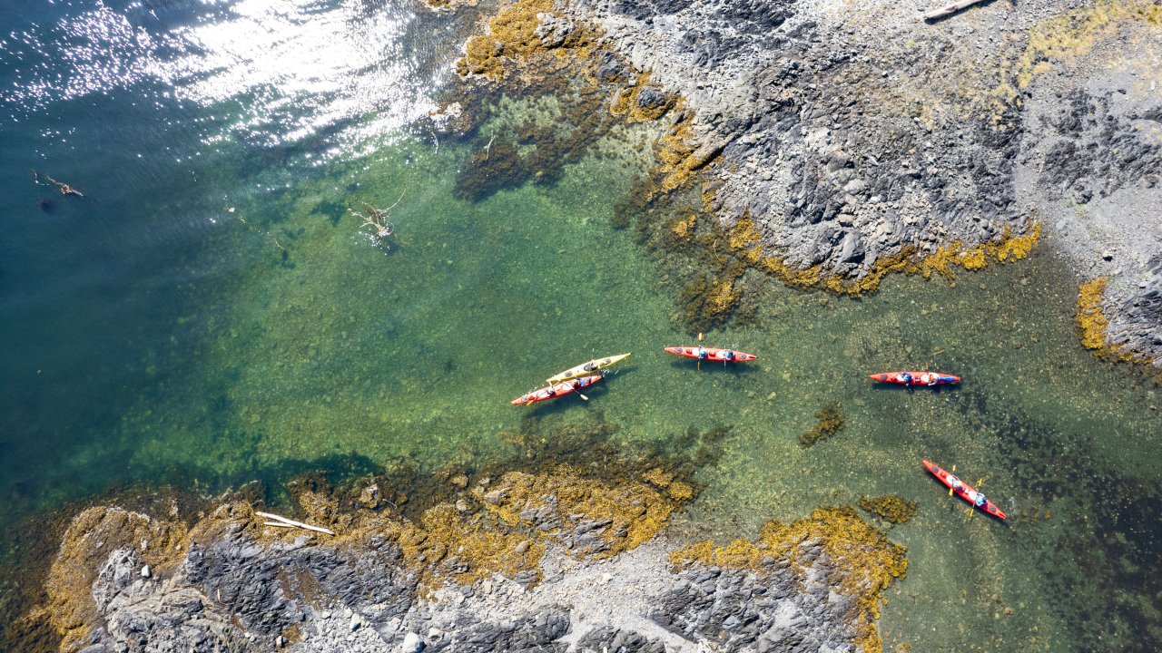 Sea kayakers from above in Queen Charlotte Strait, British Columbia
