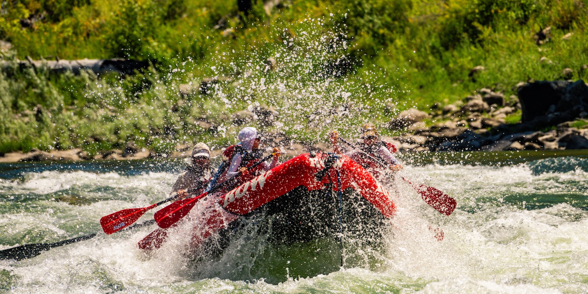 Exciting whitewater action as a rafting team navigates rapids on the Main Salmon River in Idaho