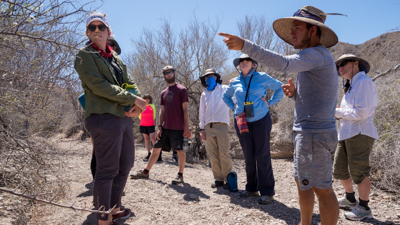 Veteran Baja Guide Mario, leading a group on a desert hike. guide leading a group on a desert hike