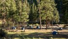Scenic riverside campsite with tents set up under pine trees along the Middle Fork Salmon River during a guided Idaho rafting expedition.