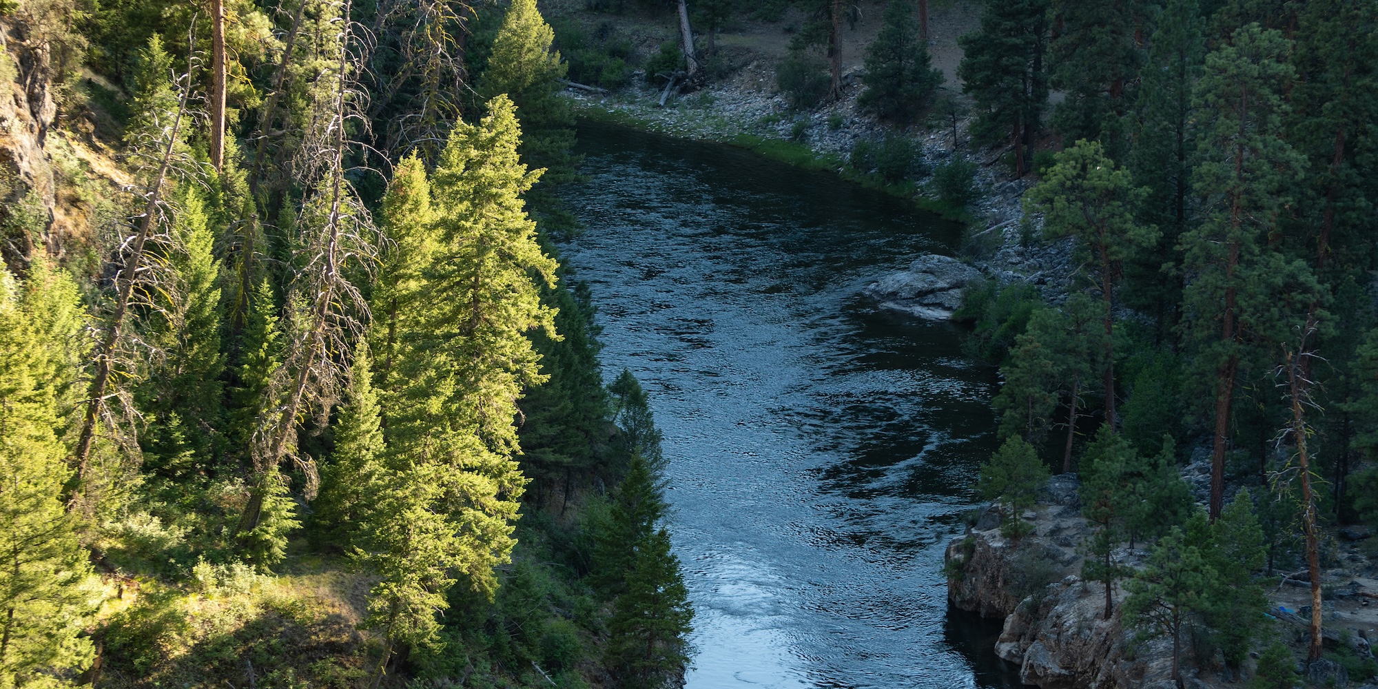 A scenic view of the Middle Fork of the Salmon River.