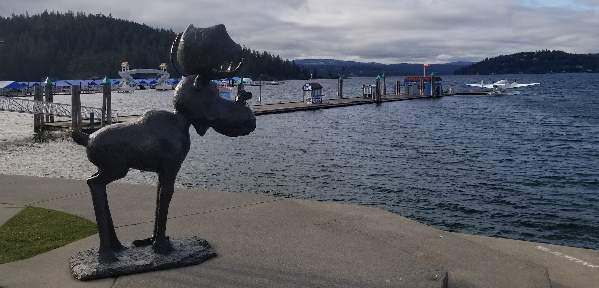 Mudgie and Millie walk downtown Coeur D'Alene, Idaho