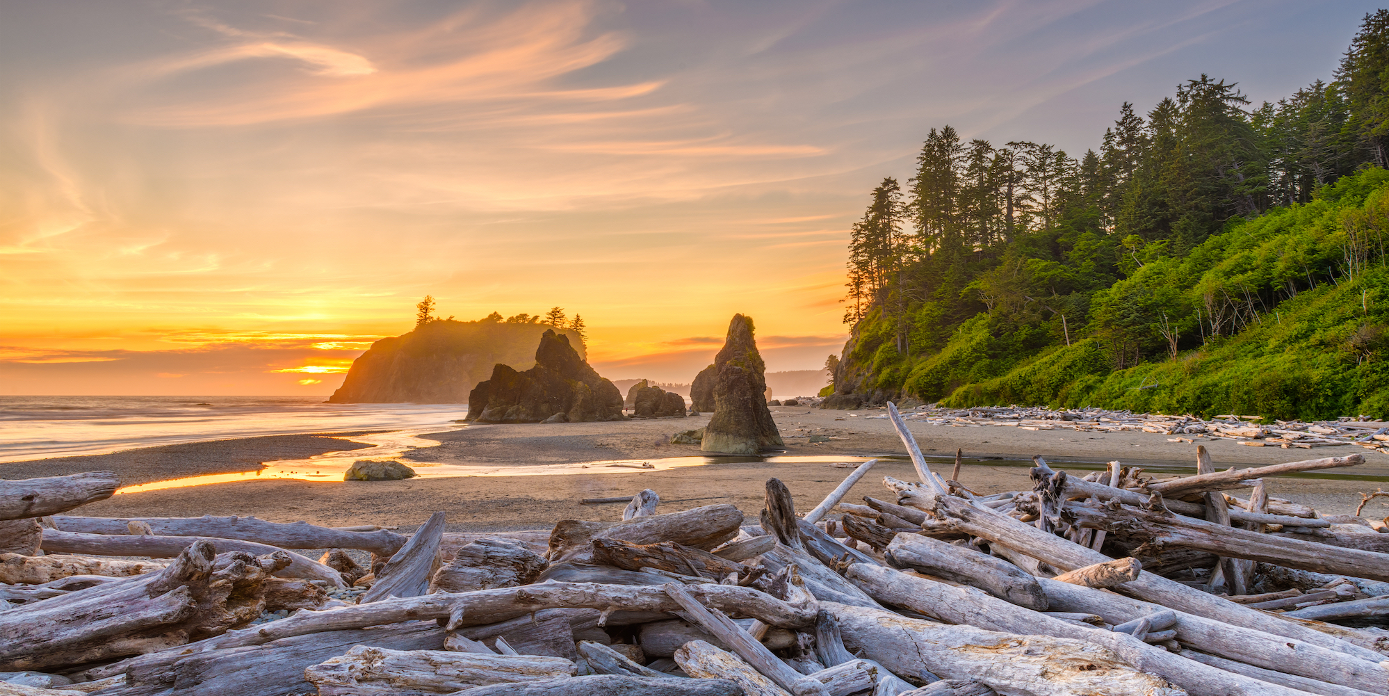 Beach in the Olympic Peninsula in Washington