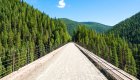 Wide open paved walking and biking bridge though dense forests on a sunny day