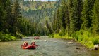 Guided rafting groups paddling down the Middle Fork of the Salmon River through a forested Idaho canyon on a scenic wilderness tour.