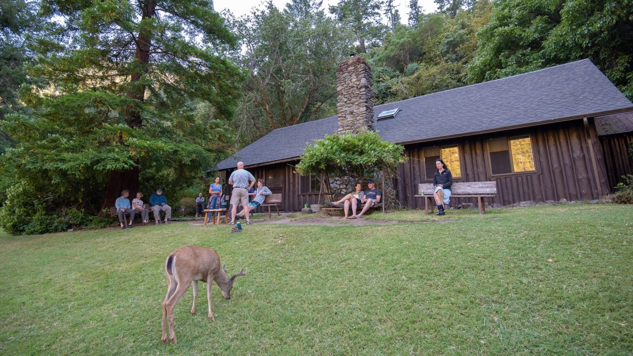deer wandering on grass outside of a lodge
