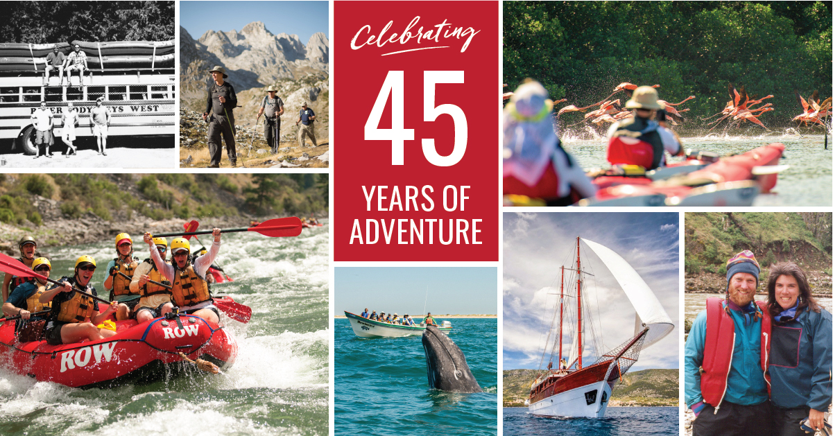 ROW Adventures 45th anniversary infographic