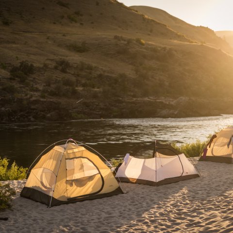 Three tents set up in the sand along the banks of the Salmon River at golden hour