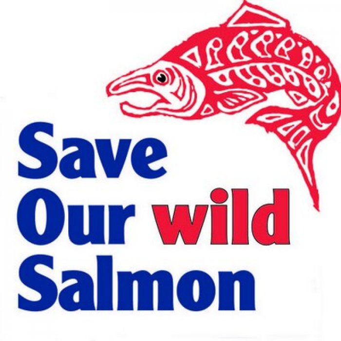 Save Our Wild Salmon