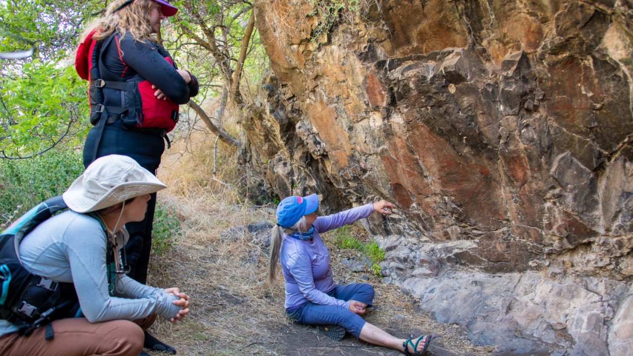 people looking at rock art along the snake river