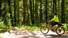A woman in a yellow jacket rides a red e-bike through a sun-dappled forest trail in Washington State.