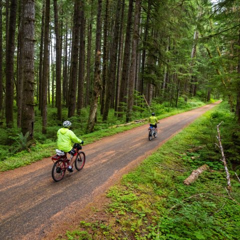 Two people on Pedego E-bike pedaling on the Olympic Discovery Trail in Washington state