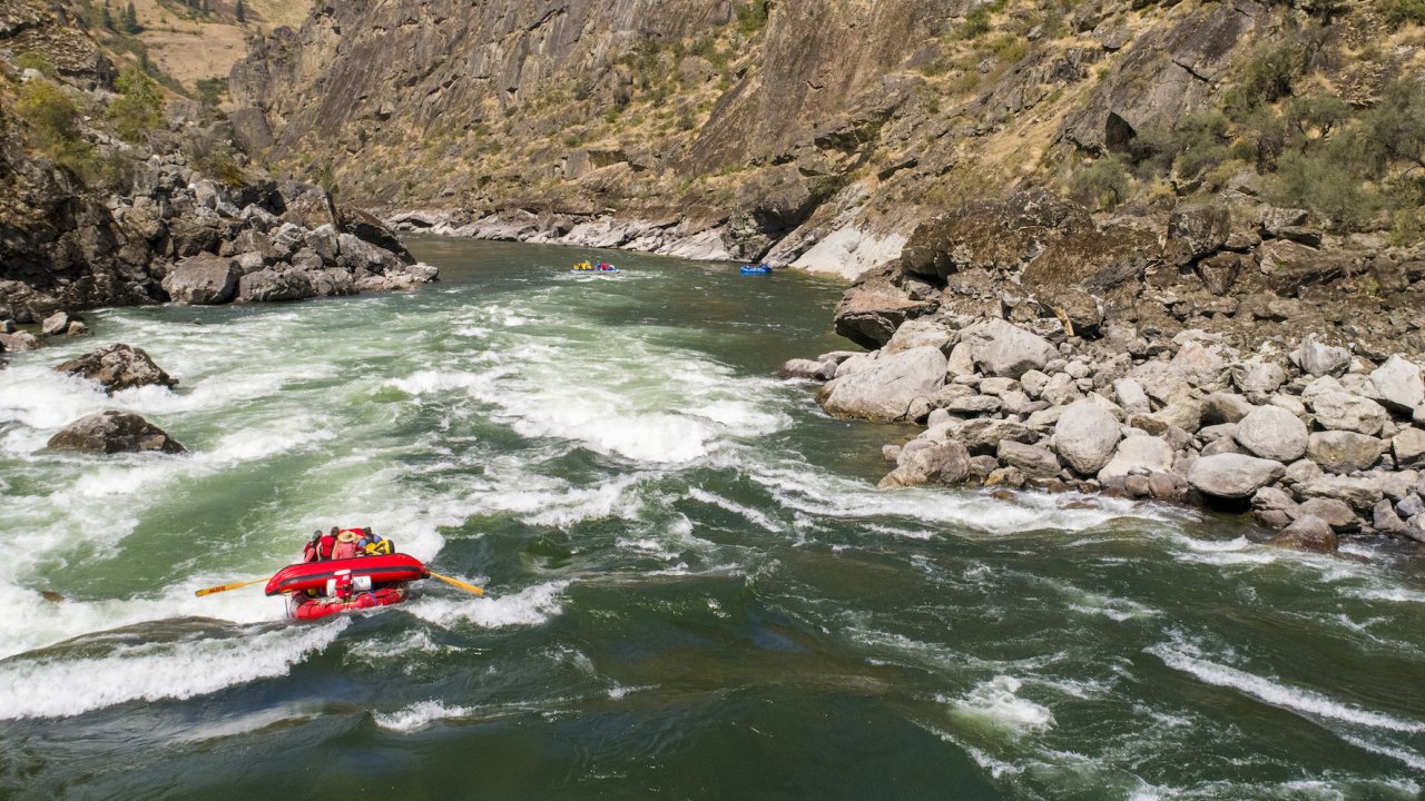 Downstream view of rafters paddling through a rapid on the Lower Salmon River